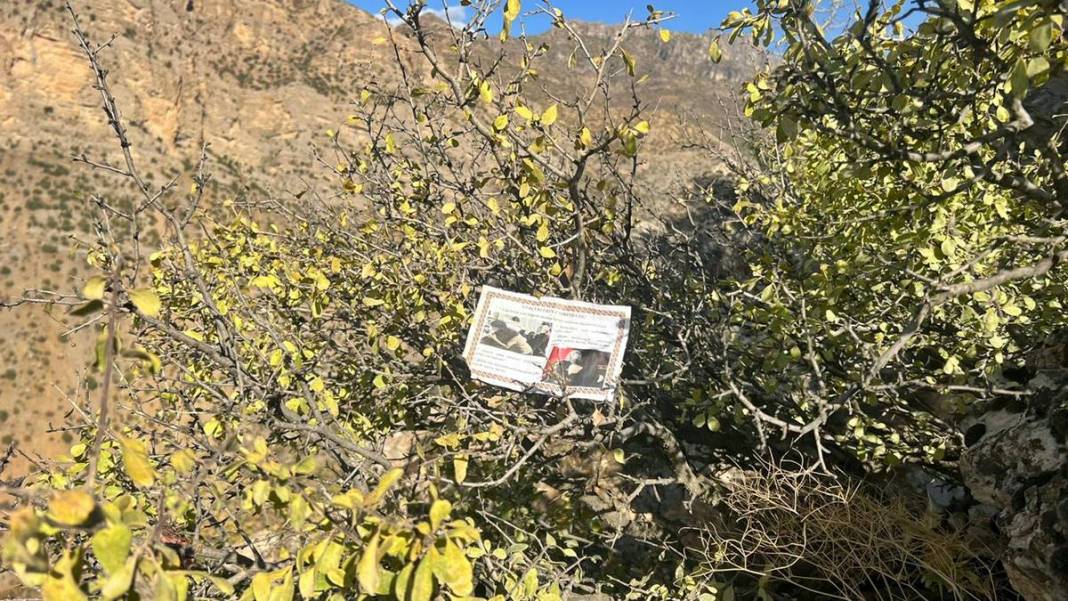 TSK, Kürtçe ve Türkçe 'Teslim olun' yazan bildiri dağıttı 2